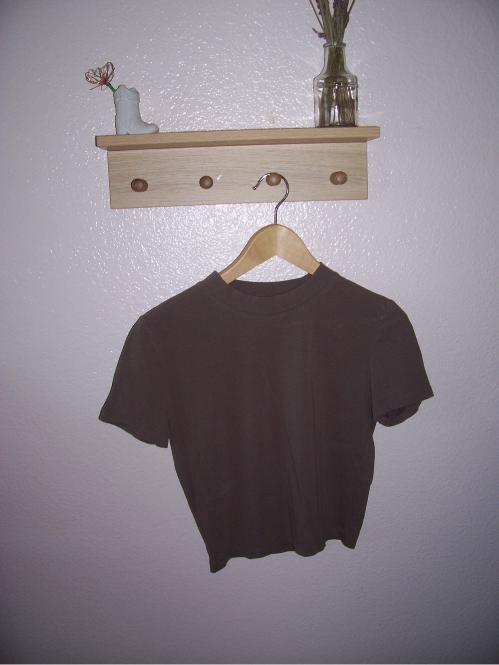 Zara Short-Sleeve Crop Top in Brown